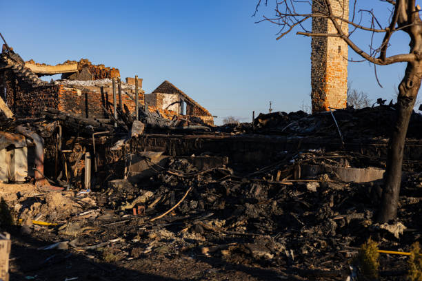 Reliable Fire Damage Removal contractor in Bethel, WA by Fire Damage Flint
